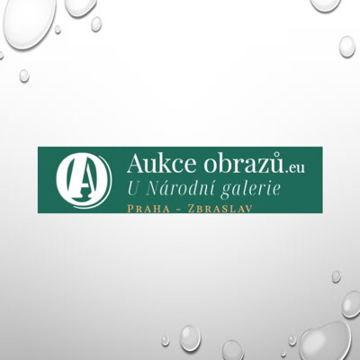 SHOP AUCKNI OBRAZU