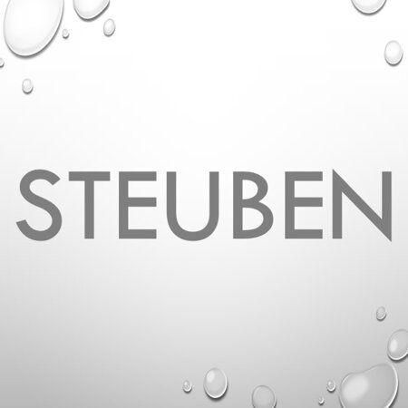 SHOP STEUBEN