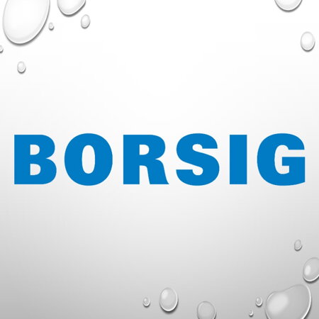 SHOP BORSIG