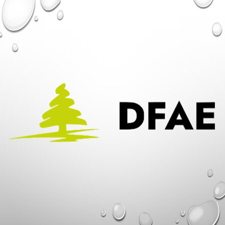SHOP DFAE