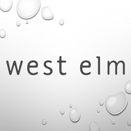 SHOP WEST ELM