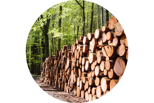 Biomass Technologies