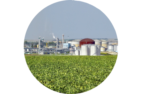Ethanol Production Plant