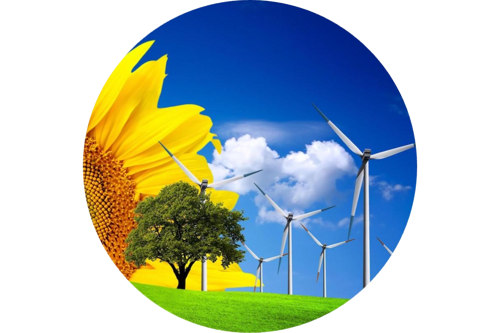 Environment & Ecology