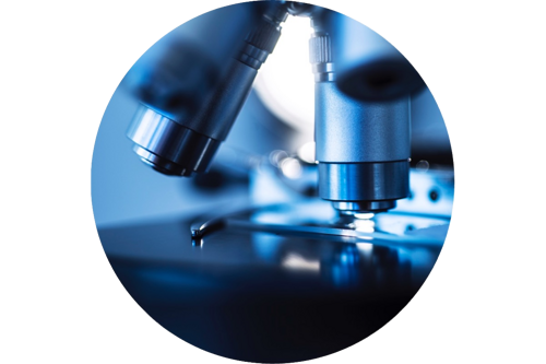 Life Sciences Supplies